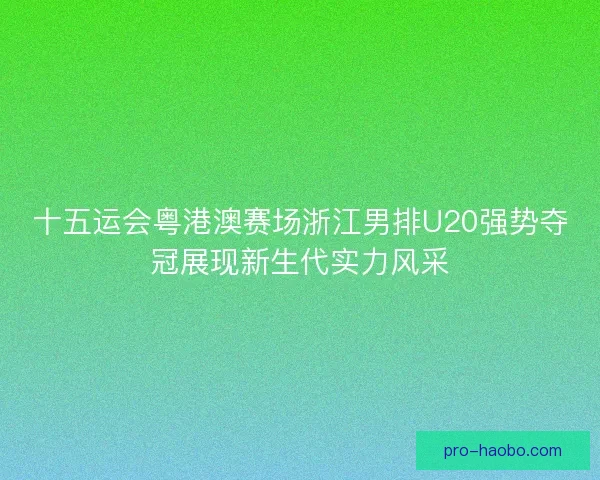 十五运会粤港澳赛场浙江男排U20强势夺冠展现新生代实力风采